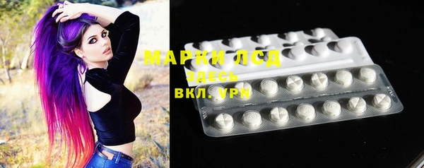 стафф Тайга