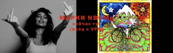 стафф Тайга