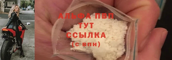 стафф Тайга