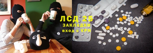 стафф Тайга