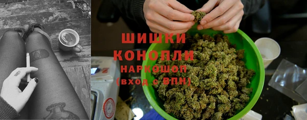 гашик Туринск