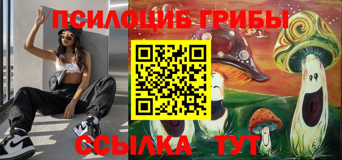 Псилоцибиновые грибы MAGIC MUSHROOMS  Псилоцибиновые грибы Cubensis  Черногорск  Вход с VPN 