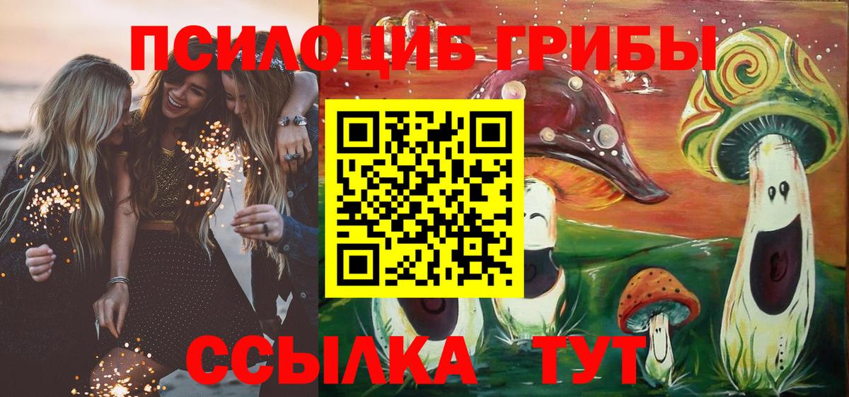 Галлюциногенные грибы Magic Shrooms Черногорск