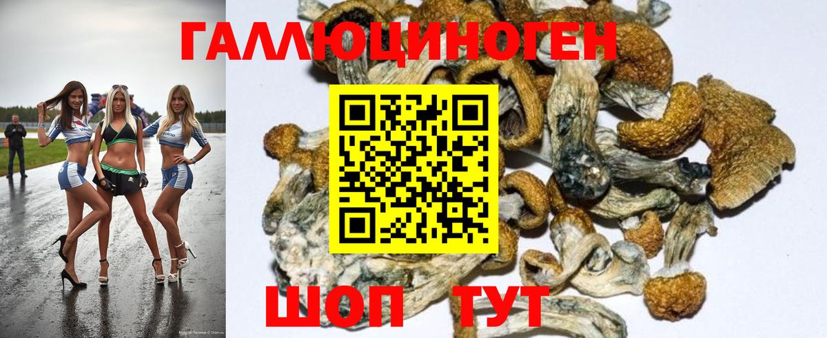 Псилоцибиновые грибы MAGIC MUSHROOMS Черногорск