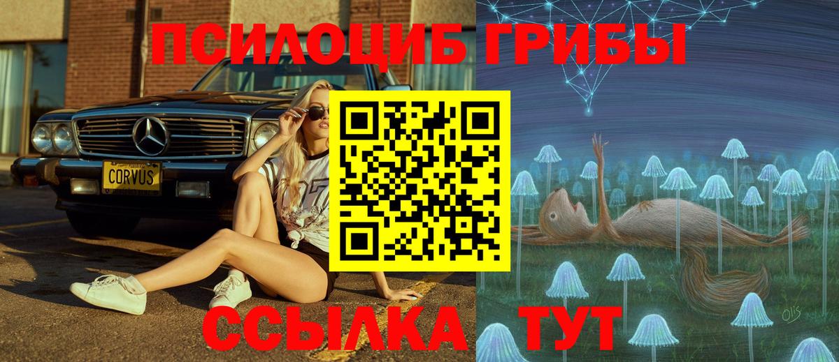 Псилоцибиновые грибы Psilocybe  Черногорск 