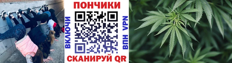 Марихуана AK-47  купить закладку  ссылка на мегу ONION  Черногорск 
